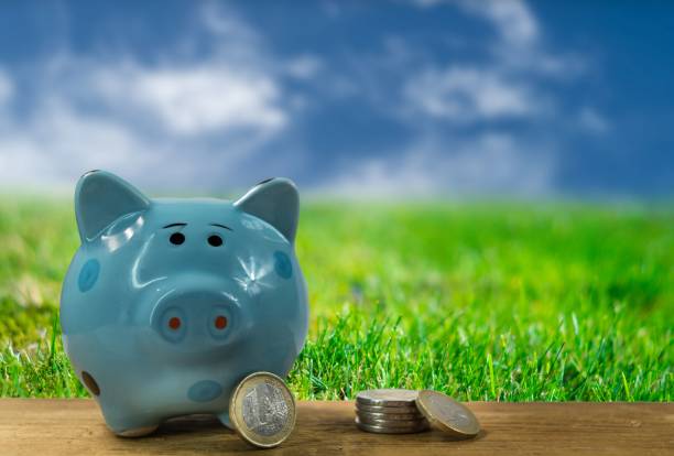 istock piggy bank 901208538
