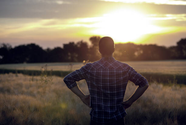 istock Rear view of farmer in wheat field 901208778
