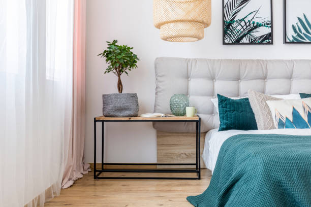 istock Plant in cozy bedroom interior 901219272
