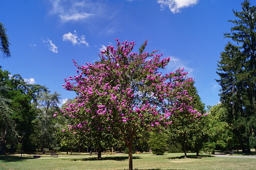 Massari Park, Ferrara, Italy