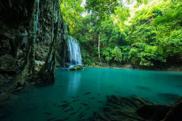 istock Breathtaking green waterfall at deep forest, Erawan waterfall located Kanchanaburi Province, Thailand 901224524