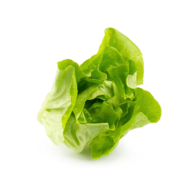 istock Fresh butterhead salad isolated on white background 901228550