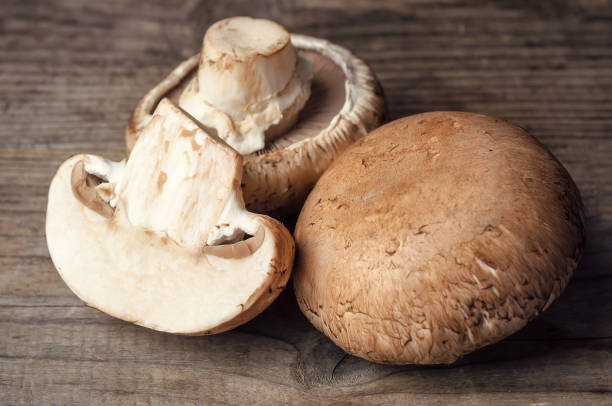 istock brown common mushrooms 901234386