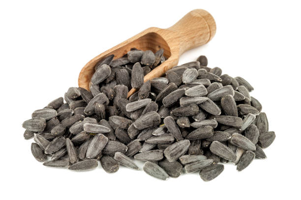 istock sunflower seeds on white 901234934