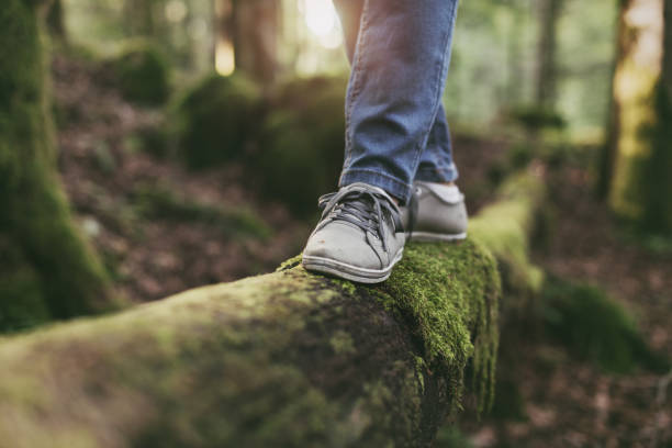 mujer caminando sobre un tronco en el bosque - equilibrio fotografías e imágenes de stock