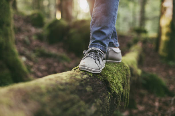 donna che cammina su un tronco nella foresta - balance foto e immagini stock