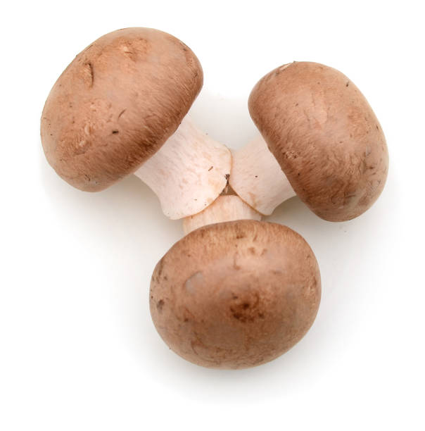 istock Fresh champignon mushrooms isolated on white background 901235664
