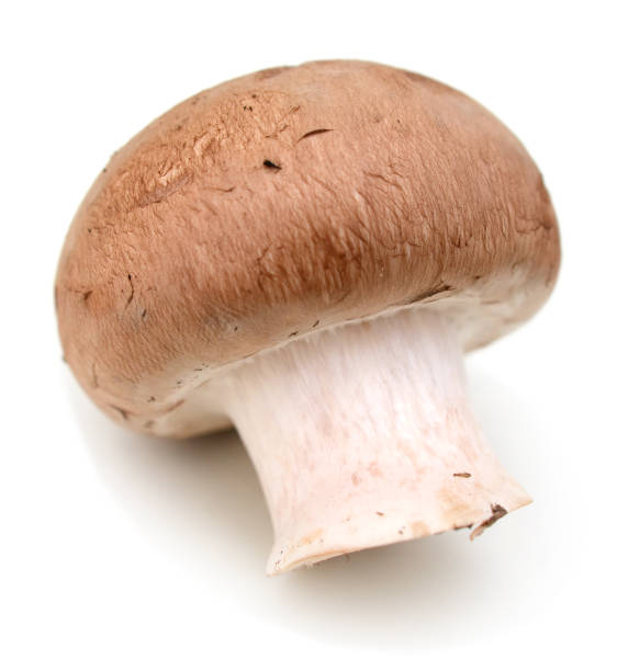 istock Save Download Preview Fresh champignon mushroom isolated on white background 901235712