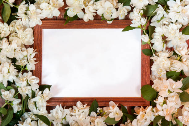 istock Thai Orange Jasmine or jasmine flower mockup with with place for text. 901236020
