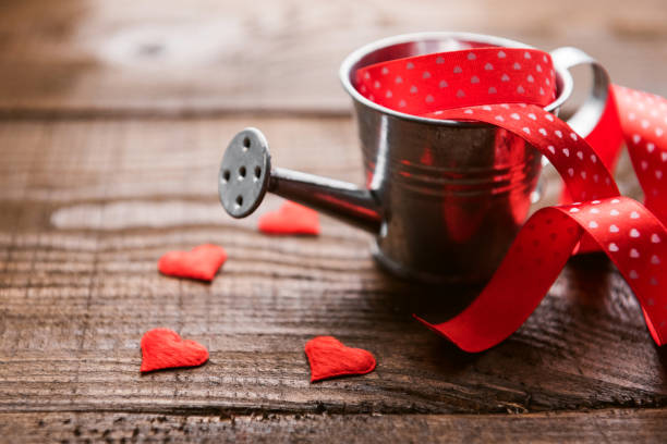 istock knitted hearts in a decorative watering can 901239660