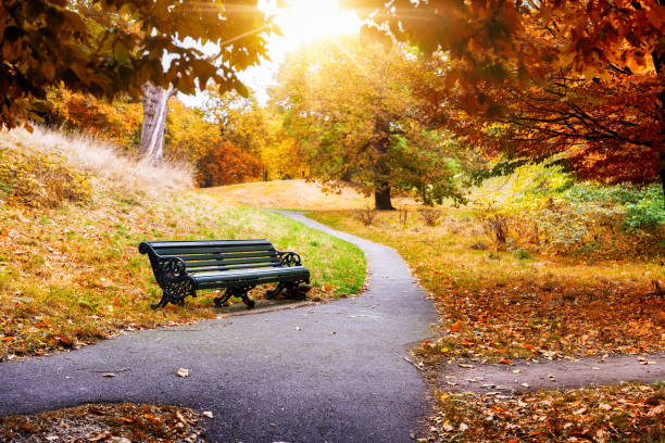 istock A bench in Greenwich Park, London 901241394