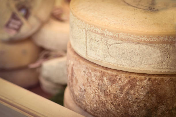close-up of the cheese wheels of aged cheese on a farmer's market. artisanal food - cheese wheel cheese cheddar wheel imagens e fotografias de stock