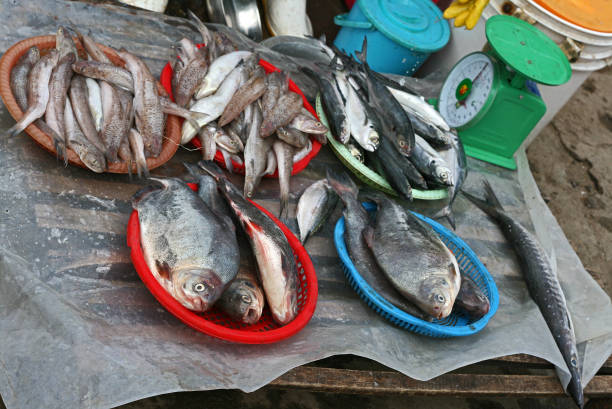 istock Seafood market in Vietnam 901247896