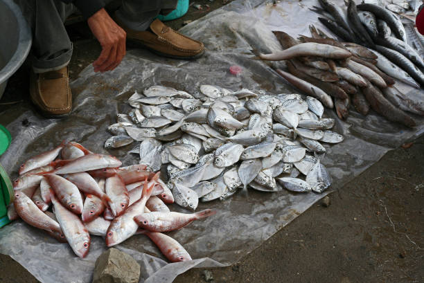 istock Seafood market in Vietnam 901251502