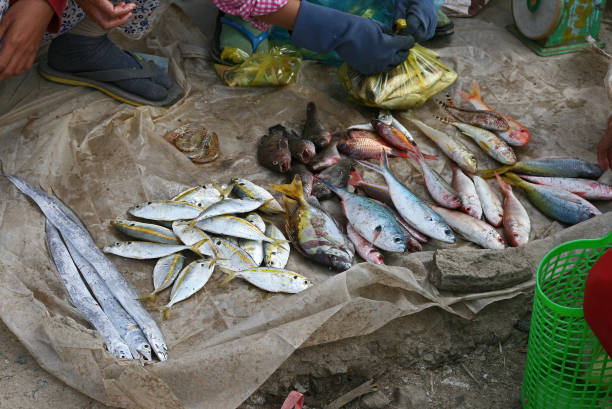 istock Seafood market in Vietnam 901251748