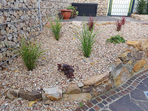 istock Rock garden, dry stone wall 901252646