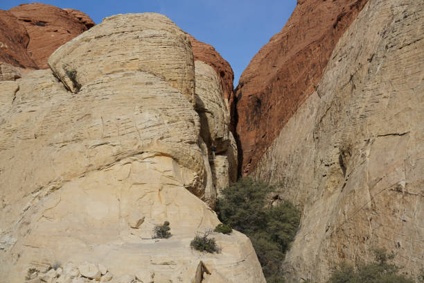 istock Red Rock Canyon - Erosion on Landform 901261420