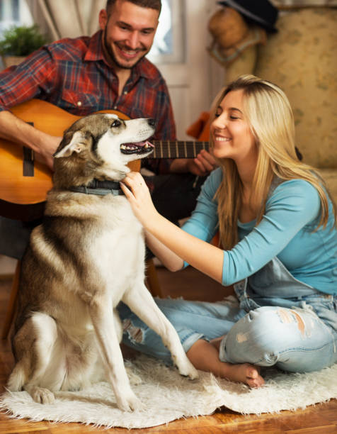 istock Young couple and dog at home. 901263994