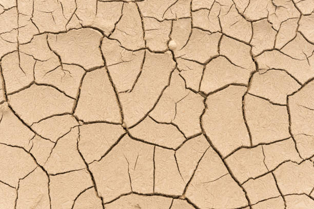 istock Dry land. Cracked ground background 901264178