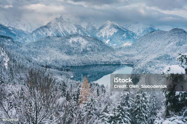 Scenic View Of Schwansee Lake In Alps In Winter Stock Photo - Download Image Now - Winter, Landscape - Scenery, Scenics - Nature