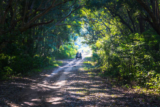 istock Nature Lover taking ride at National Park 901269476