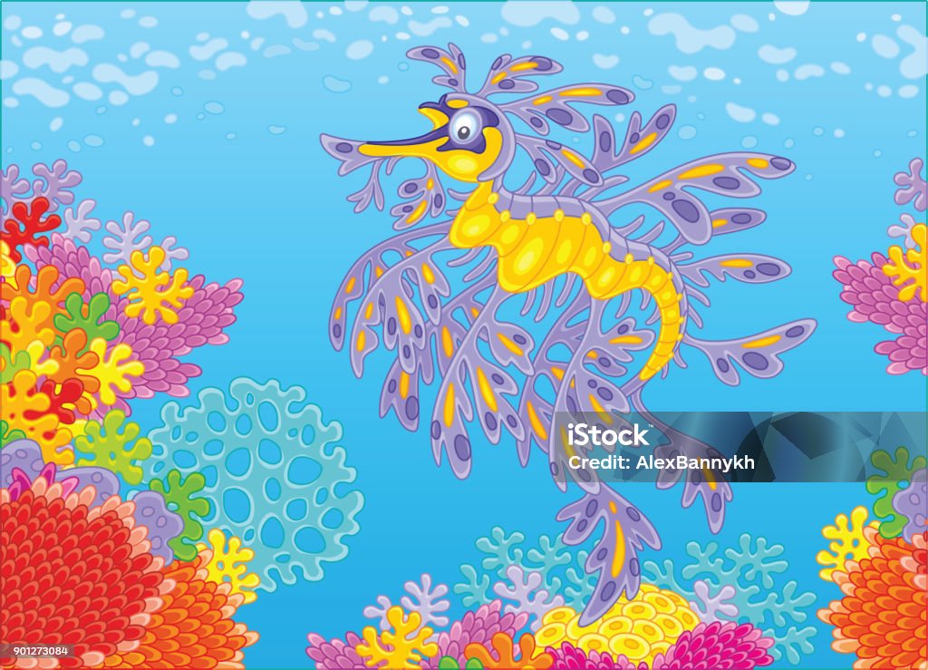 Leafy sea dragon on a coral reef An exotic sea horse seadragon swimming in blue water over colorful corals in a tropical sea, a vector illustration in cartoon style Animal stock vector