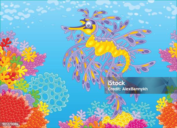Leafy Sea Dragon On A Coral Reef Stock Illustration - Download Image Now - Animal, Aquarium, Beauty