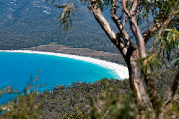 istock Wineglass Bay Tasmania, Australia 901273268
