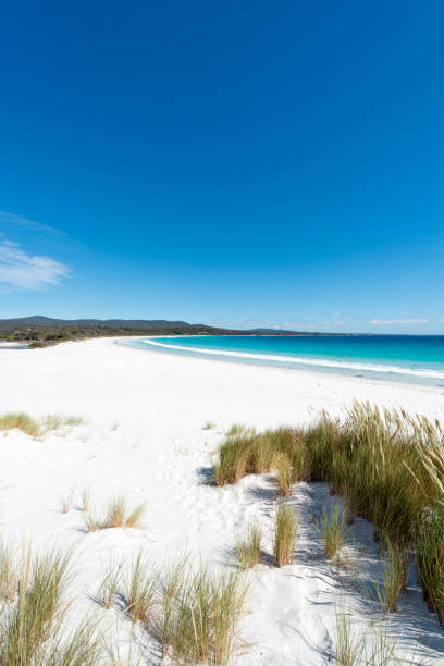 Bay of Fires, Tasmania, Australia Bay of Fires on the east coast of Tasmania, Australia. bay of fires photos stock pictures, royalty-free photos & images