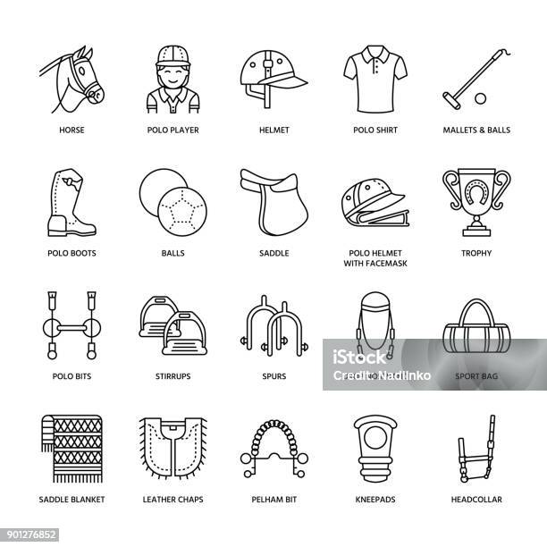 Horse Polo Flat Line Icons Vector Illustration Of Horses Sport Game Equestrian Equipment Saddle Leather Boots Harness Spurs Linear Signs Set Championship Pictograms For Event Gear Store Stock Illustration - Download Image Now