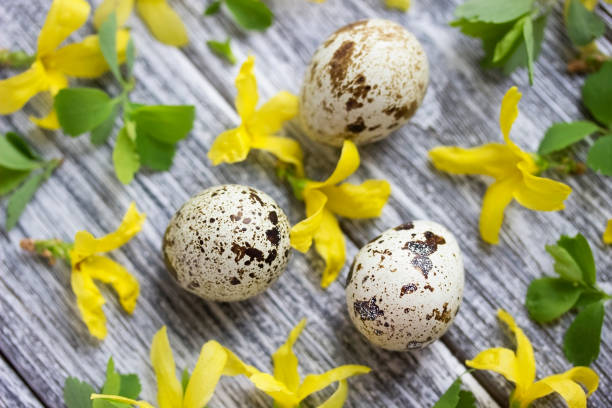 istock Easter decoration with spring yellow flowers and quail eggs on old wooden background.Easter eggs.Happy Easter or Spring concept 901283578