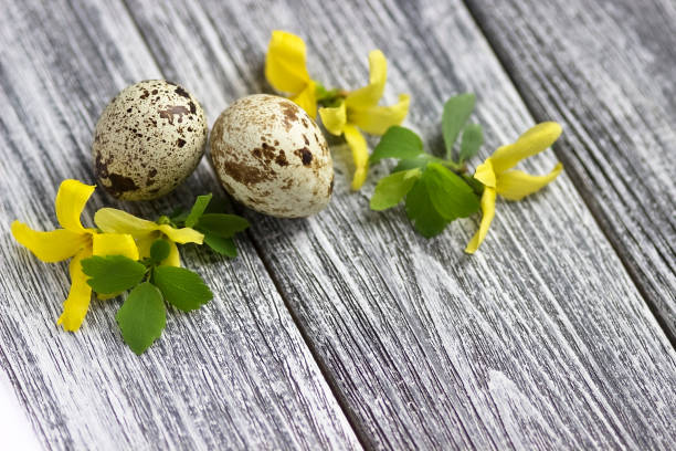 istock Easter decoration with spring yellow flowers and quail eggs on old wooden background.Easter eggs.Happy Easter or Spring concept 901283722