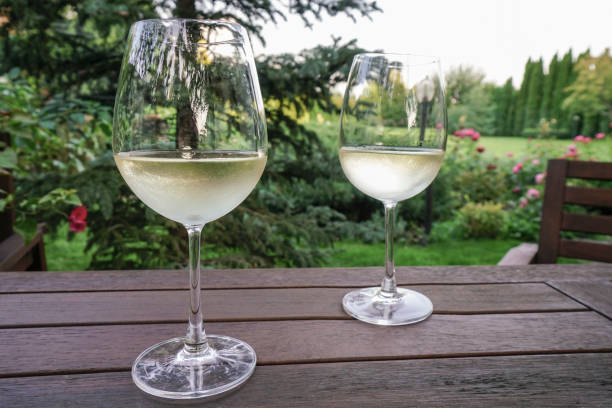 Pair of wine glasses on wooden table at garden in summer