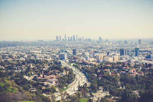 view from hollywood hills over downtown los angeles, california, usa.