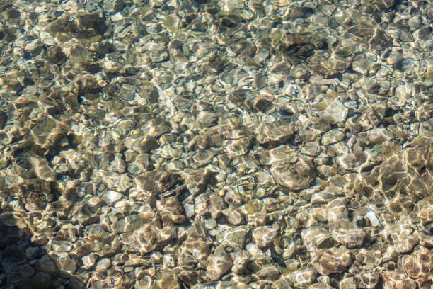 istock Rocks in sea water. 901288296
