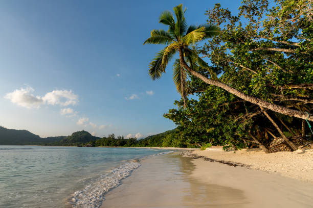 istock Beach Anse Takamaka Mahe Island Seychelles Islands 901291230