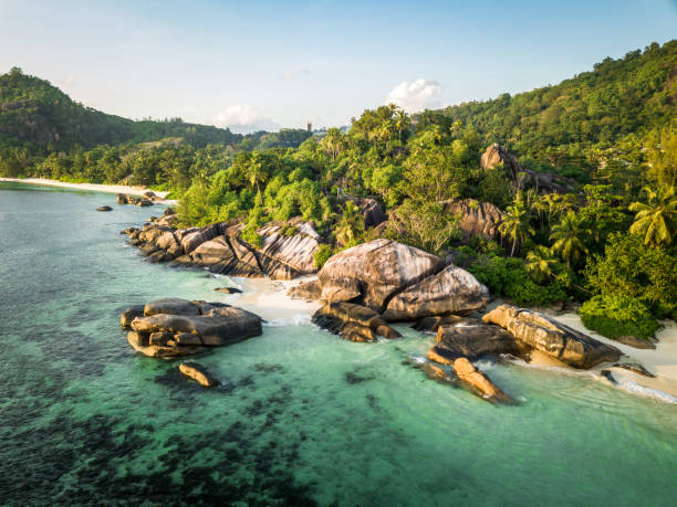 istock Seychelles Aerial View Anse Takamaka Mahe Island 901291496