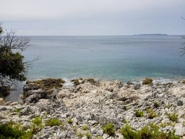 istock Rough Croatian coastline in Nerezine. Third. 901300294