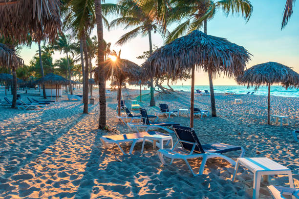 istock Cuban beach with sun lounger and palms 901303482