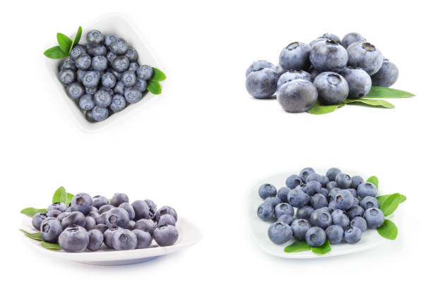 istock Set of huckleberry on a white background cutout 901304956