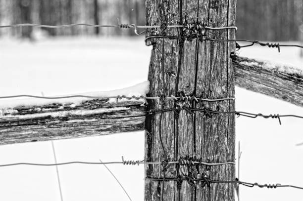 istock Wooden post wire fence 901305666
