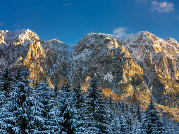 Snow covered jagged mountain peaks rise above a dense evergreen forest in a clear blue sky setting. The winter scene features natural alpine elements with sunlight illuminating the rocky surfaces and scattered clouds overhead
