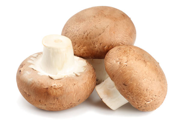 istock Fresh champignon mushrooms isolated on white background 901311982