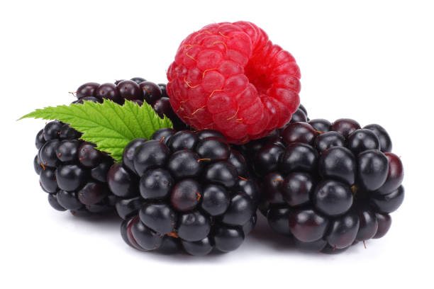 istock blackberries with raspberries and green leaf isolated on white background. macro 901312022