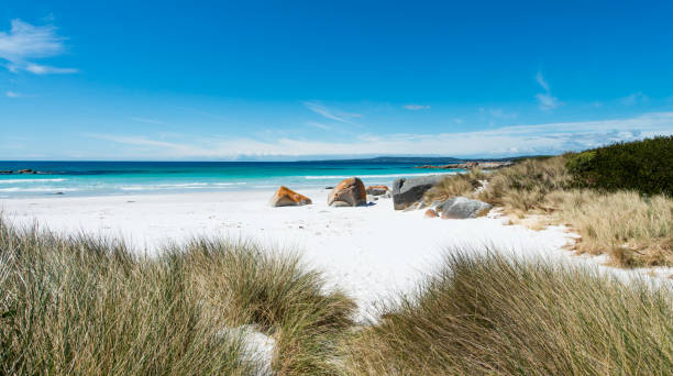 istock Bay of Fires, Tasmania, Australia 901312782
