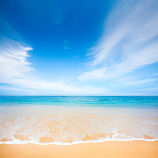 istock beach and beautiful tropical sea 901317964