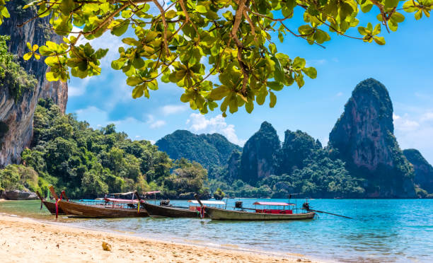 istock Long tail boat tropical beach, Krabi, Thailand 901318746