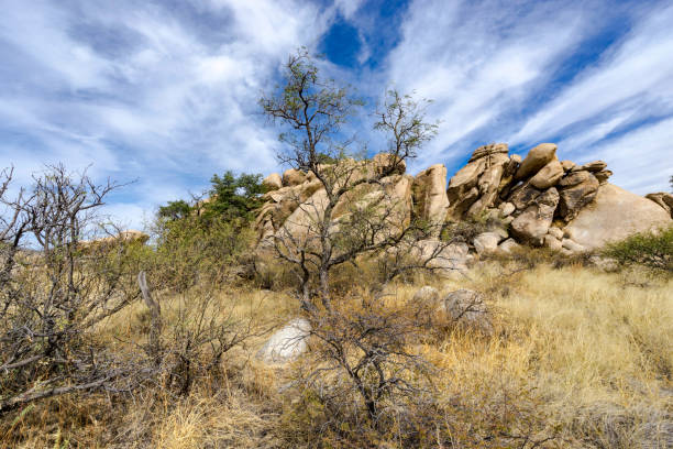 istock Cochise County Vista 901337558