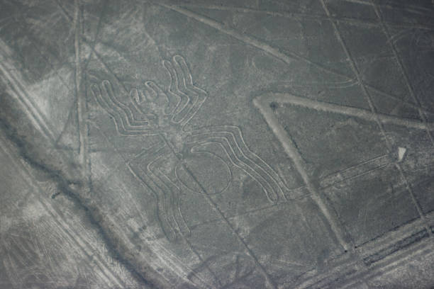 istock Spider figure at Nazca lines seen from the plane, Nazca lines, Peru 901354560
