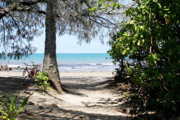 istock four mile beach, Port Douglas ,Queensland 901355198